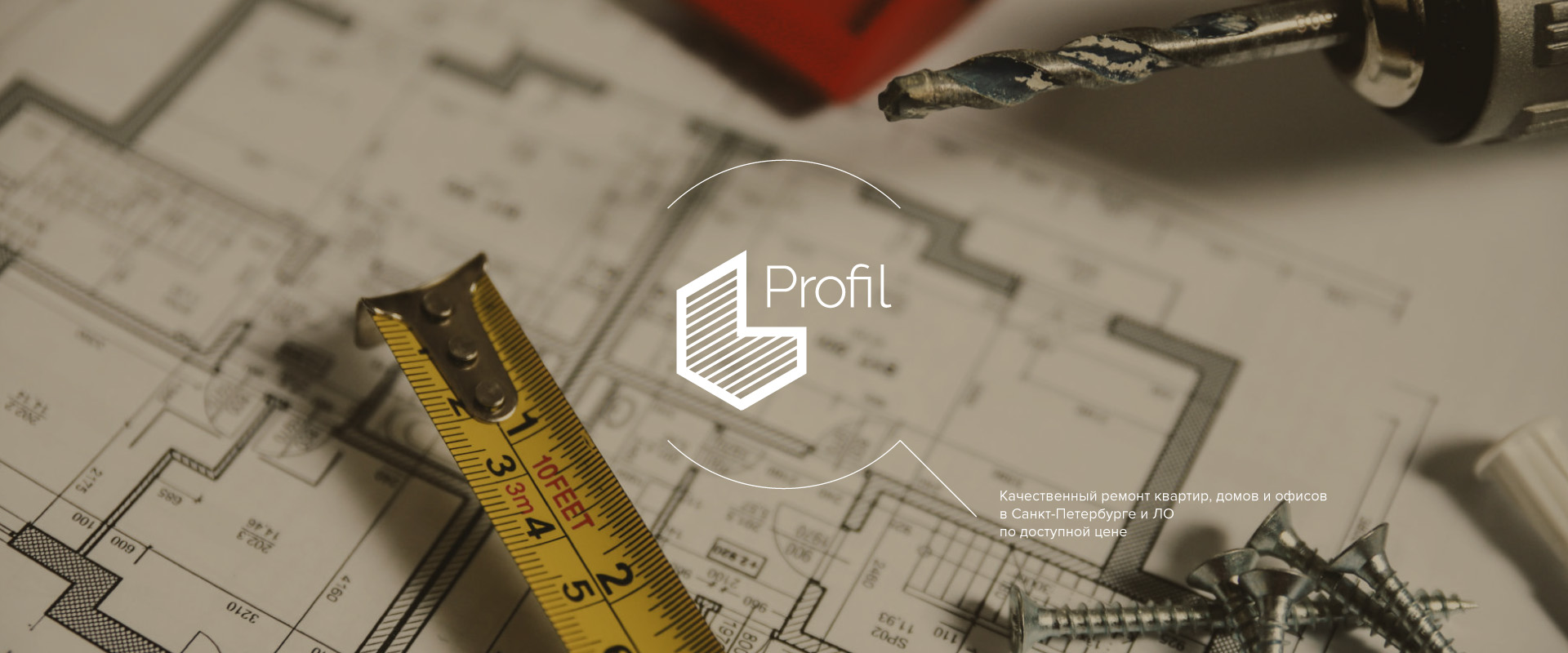 Разработка логотипа Profil 2